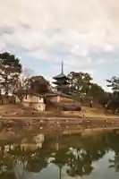 興福寺(奈良県)