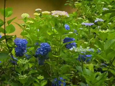 西明寺(滋賀県)