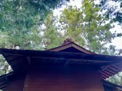 星宮神社(栃木県)