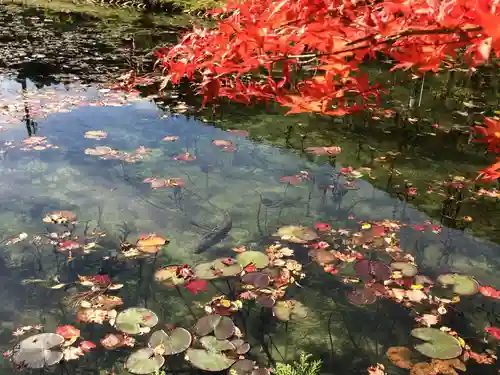 根道神社の庭園