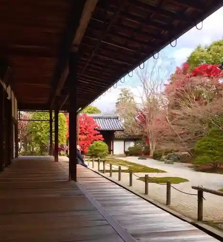 天授庵(京都府)