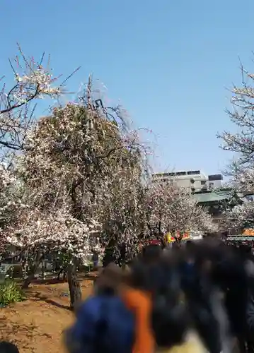 湯島天満宮の庭園