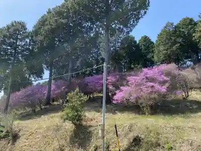 富士神社の自然