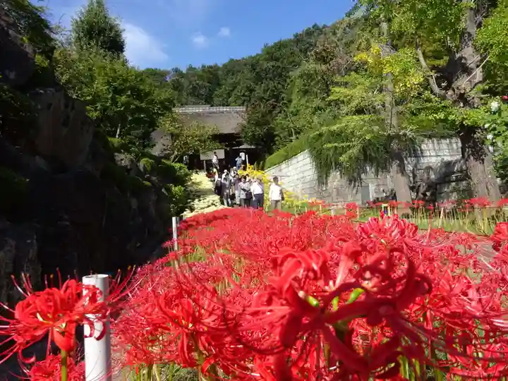 横浜 西方寺の自然