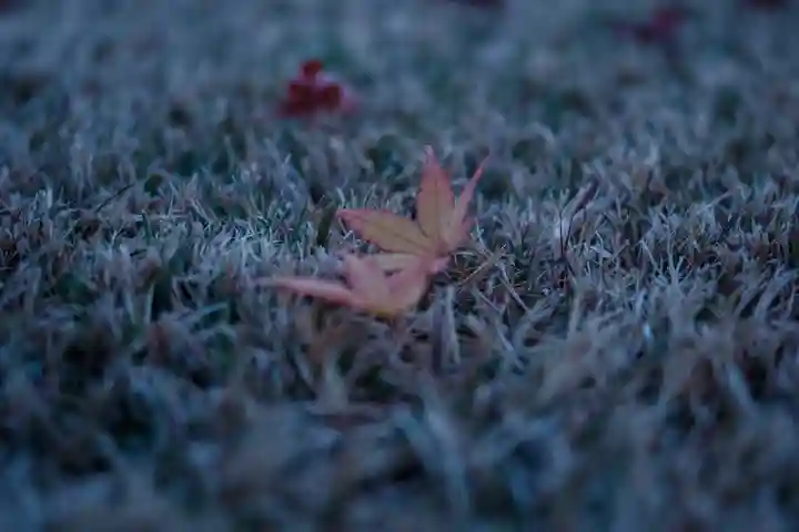 諏訪大社上社前宮(長野県)