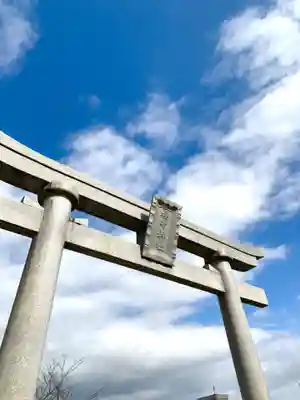 福井神社の鳥居