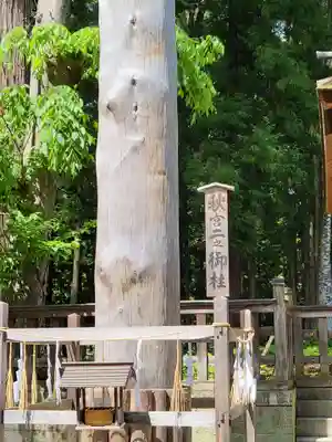 諏訪大社下社秋宮(長野県)