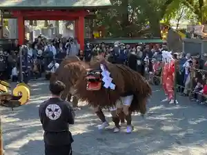 美奈宜神社(福岡県)(2023年10月23日(月) 16時12分27秒投稿)