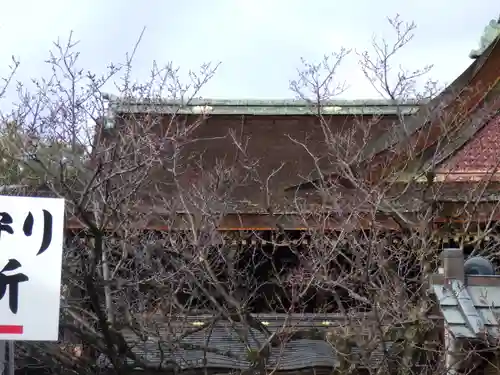 北野天満宮の自然