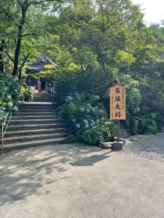 高幡不動尊 金剛寺(東京都)