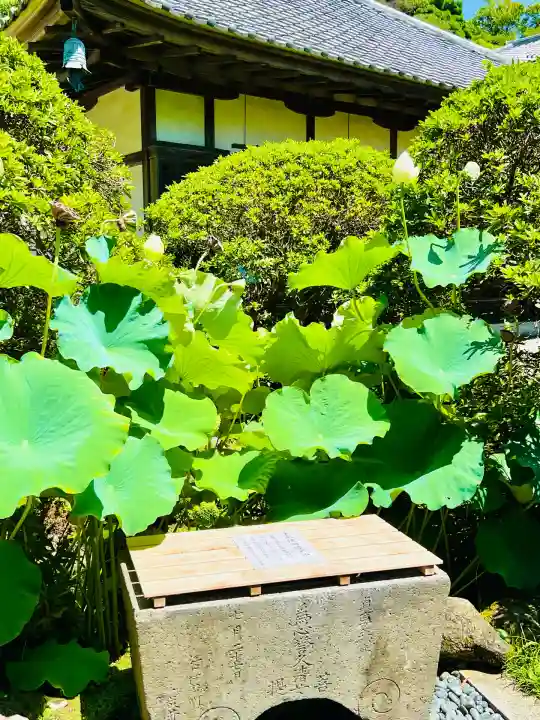 安養院 (田代寺)(神奈川県)