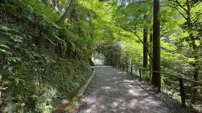 鞍馬寺(京都府)