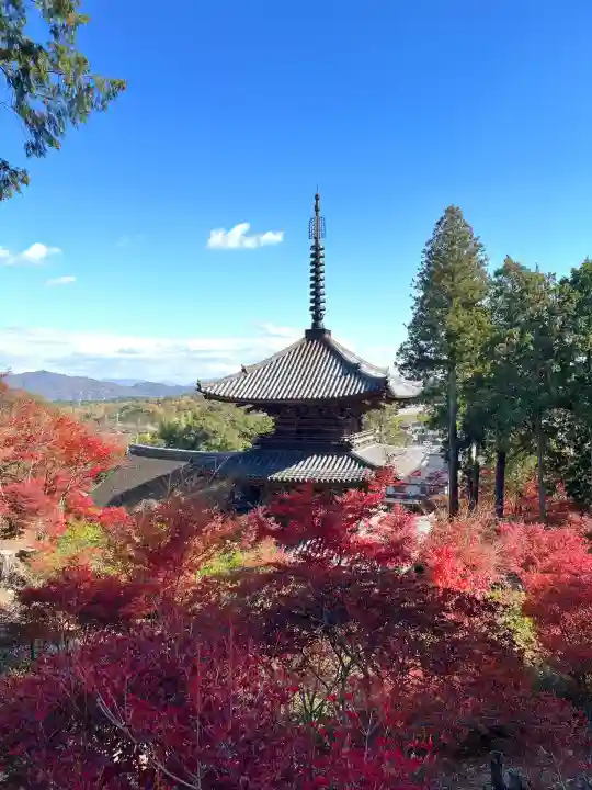 常樂寺(滋賀県)