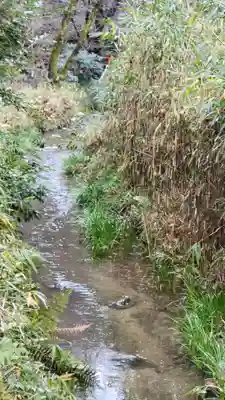 賀茂御祖神社（下鴨神社）(京都府)