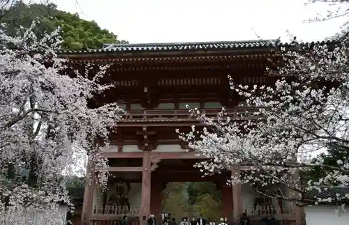 醍醐寺(京都府)