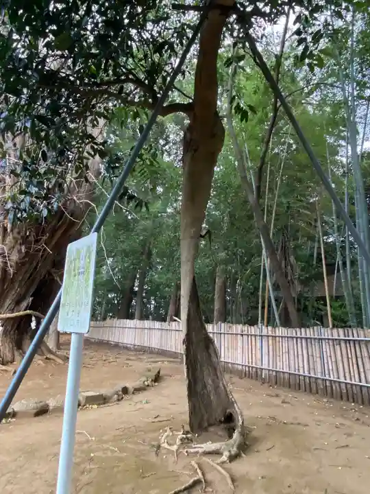 峯ヶ岡八幡神社(埼玉県)