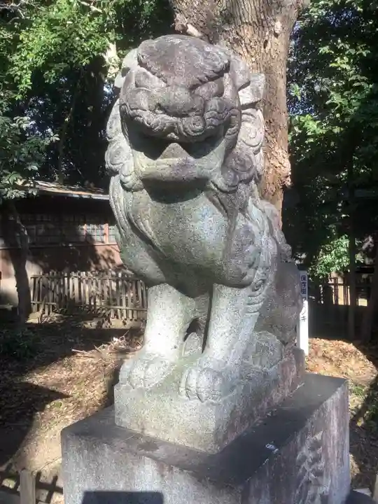 丸山神明社の狛犬