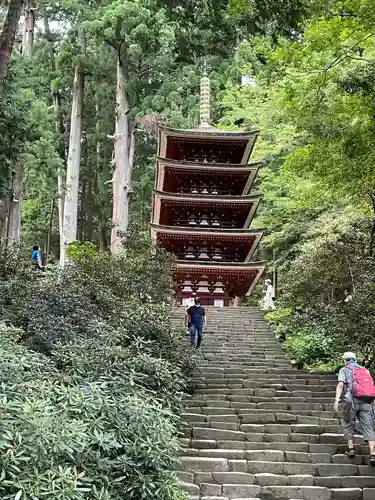 室生寺の塔