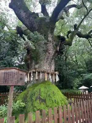 熱田神宮(愛知県)