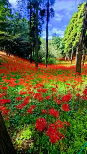 七百餘所神社 の周辺