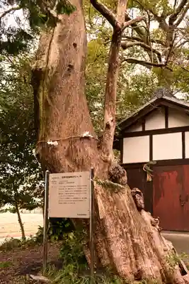 天満神社(愛媛県)
