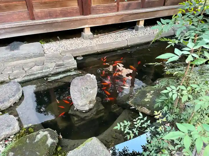 祝言寺(東京都)