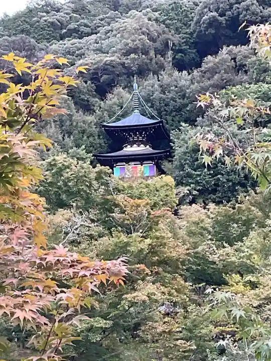 禅林寺(永観堂)(京都府)