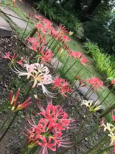 横浜　西方寺の自然