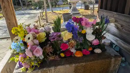 勝林寺(京都府)