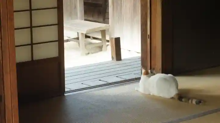 法華寺(奈良県)