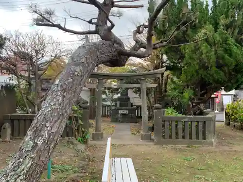 永照稲荷大明神の鳥居