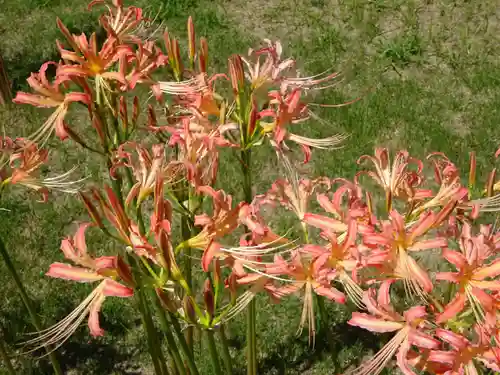 横浜　西方寺の自然