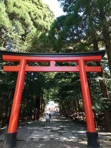 霧島神宮の鳥居