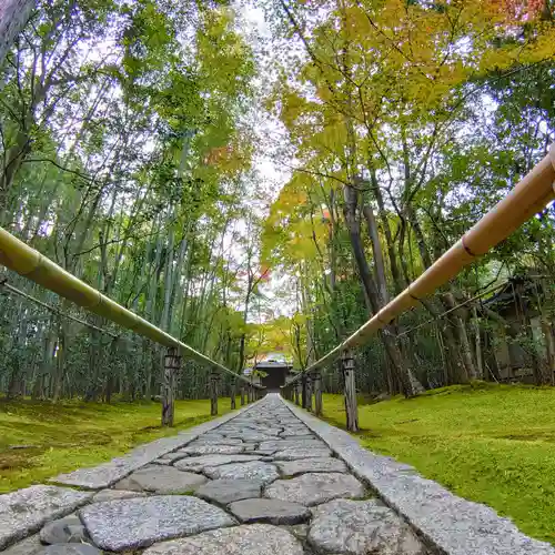 高桐院のその他建物