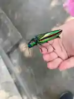 瀧宮神社(広島県)