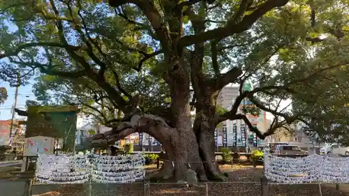 諫早神社（九州総守護  四面宮）(長崎県)