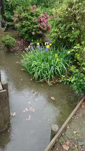 菩提寺の庭園