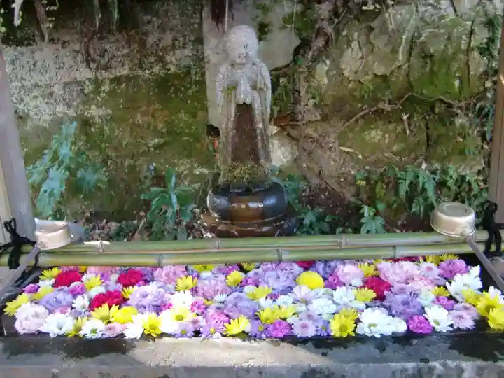 安國論寺(安国論寺)の手水舎