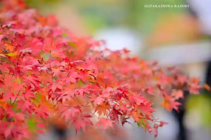 円覚寺(神奈川県)