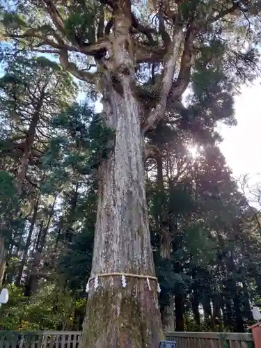 霧島神宮(鹿児島県)