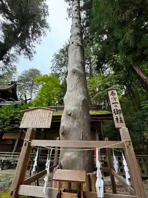 諏訪大社下社春宮(長野県)