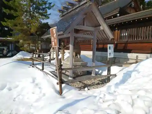 籠神社の狛犬