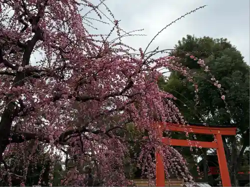 城南宮(京都府)