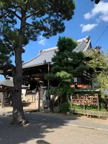 葛井寺の山門