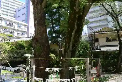 蒲田八幡神社(東京都)