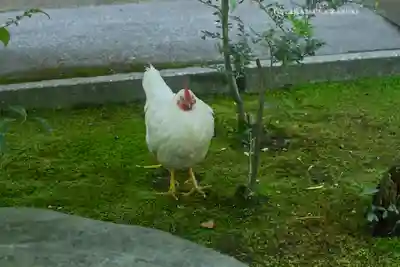 伊勢神宮内宮（皇大神宮）(三重県)