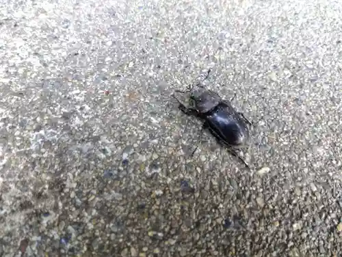 若宮神社(京都府)