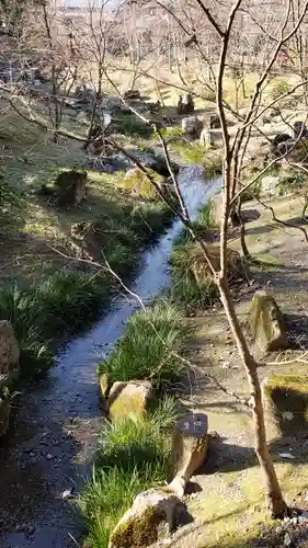 伏見稲荷大社の自然