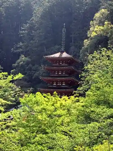 長谷寺の塔