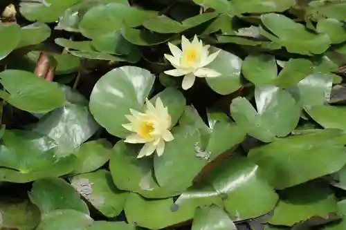 開元院(岐阜県)